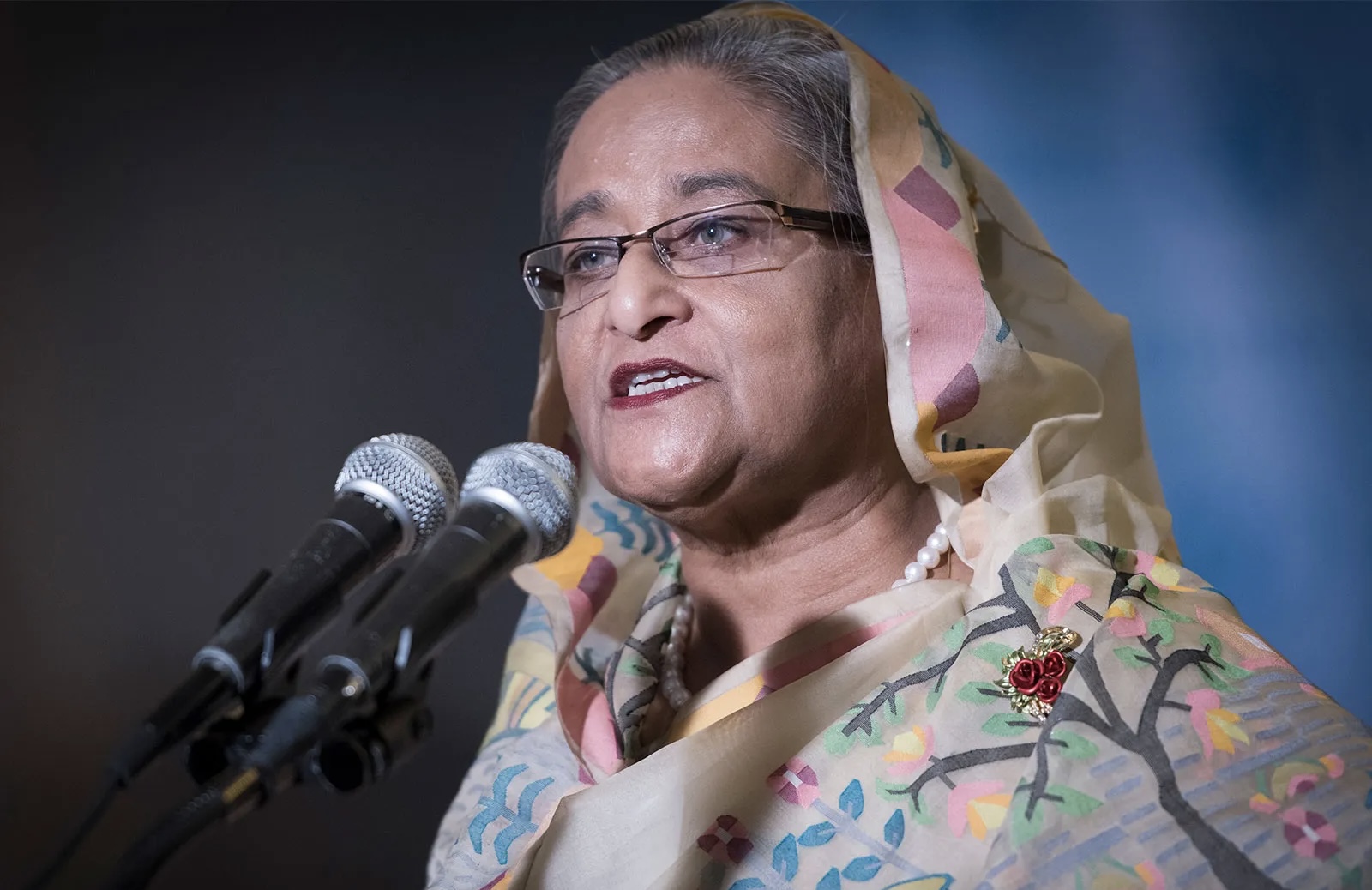 দণ্ডিত হাসিনার বক্তব্য প্রচার না করতে সরকারের আহ্বান 16278_IMG_9075.jpeg