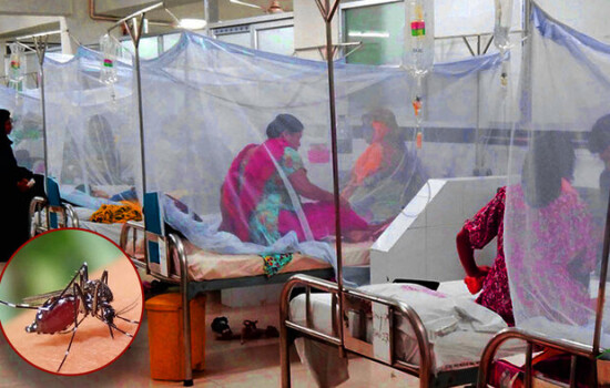 ডেঙ্গুতে আরও ৭ জনের মৃত্যু, হাসপাতালে ভর্তি ১৭৫৩ 16625_IMG_9433.jpeg