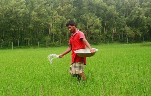 সার ব্যবস্থাপনায় নতুন উদ্যোগ, ৬৪ জেলায় শতভাগ বরাদ্দ পাবে কৃষকরা 16702_IMG_9646.jpeg