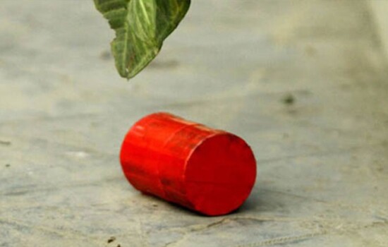 পুরাতন বাণিজ্য মেলার মাঠ থেকে ককটেল ও পেট্রোল বোমা উদ্ধার 16984_IMG_0445.jpeg
