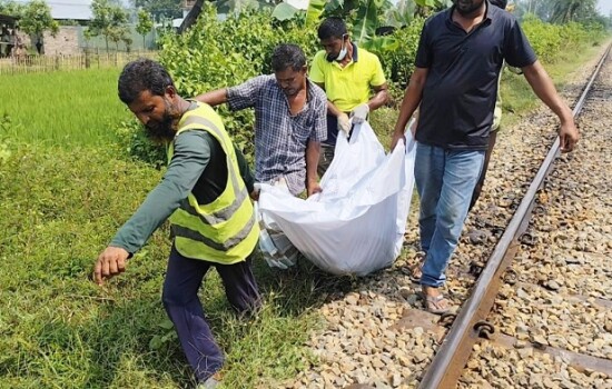 বগুড়ায় ট্রেনে কাটা পড়ে গৃহবধূর মৃত্যু 16995_IMG_0479.jpeg