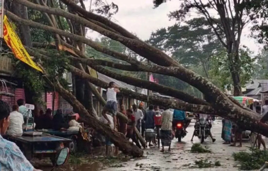 হঠাৎ ঝড়ে লণ্ডভণ্ড বকশীগঞ্জ, সড়কে যান চলাচল বন্ধ 17205_IMG_1045.jpeg