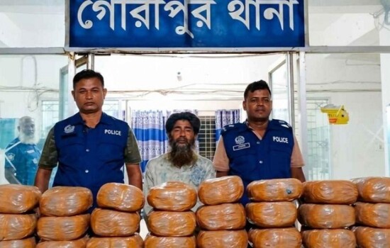 গৌরীপুরে ৪৮ কেজি গাঁজাসহ মাদকব্যবসায়ী গ্রেফতার 17272_IMG_1211.jpeg
