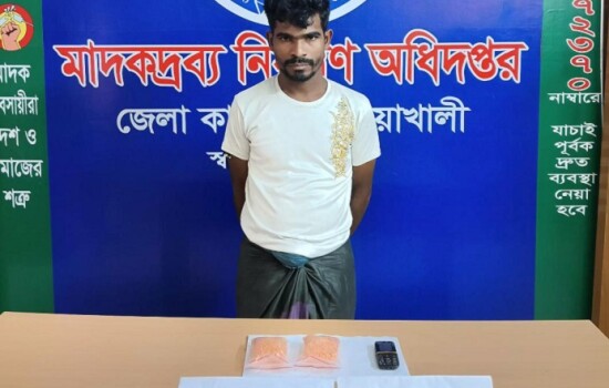 নোয়াখালীতে চার হাজার ইয়াবাসহ রোহিঙ্গা যুবক গ্রেপ্তার 17285_IMG_1241.jpeg